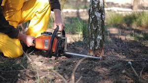 Mulching Services in Martinez, CA